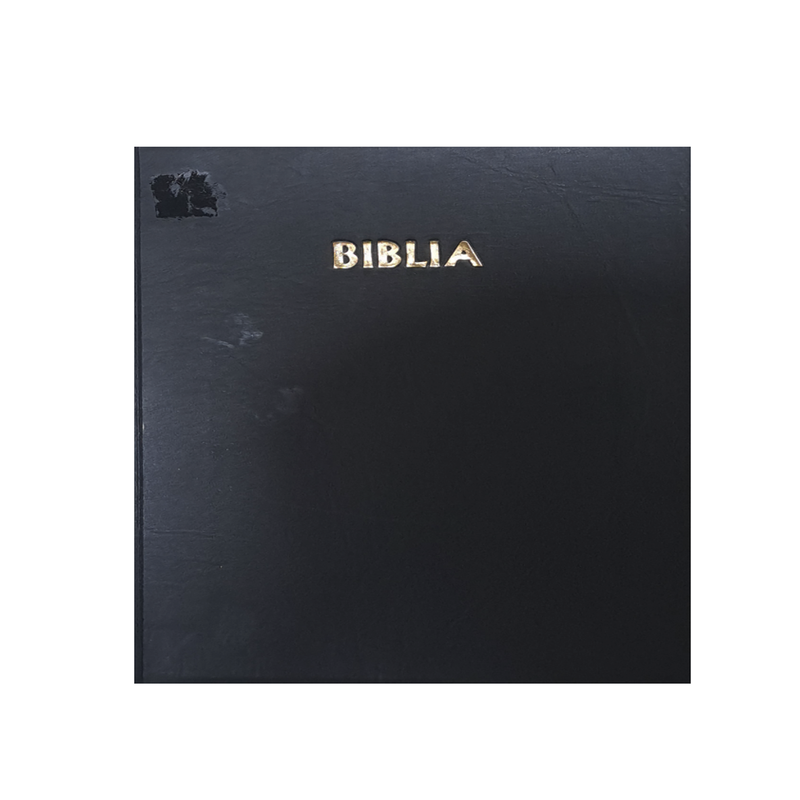 Bible - Kingdom Books and Stationery Ltd