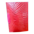 Plastic folder