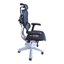 Executive Ergo Human Swivel Chair Mesh - Kingdom Books and Stationery Ltd