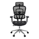 Executive Ergo Human Swivel Chair Mesh - Kingdom Books and Stationery Ltd