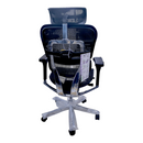 Executive Ergo Human Swivel Chair Mesh - Kingdom Books and Stationery Ltd